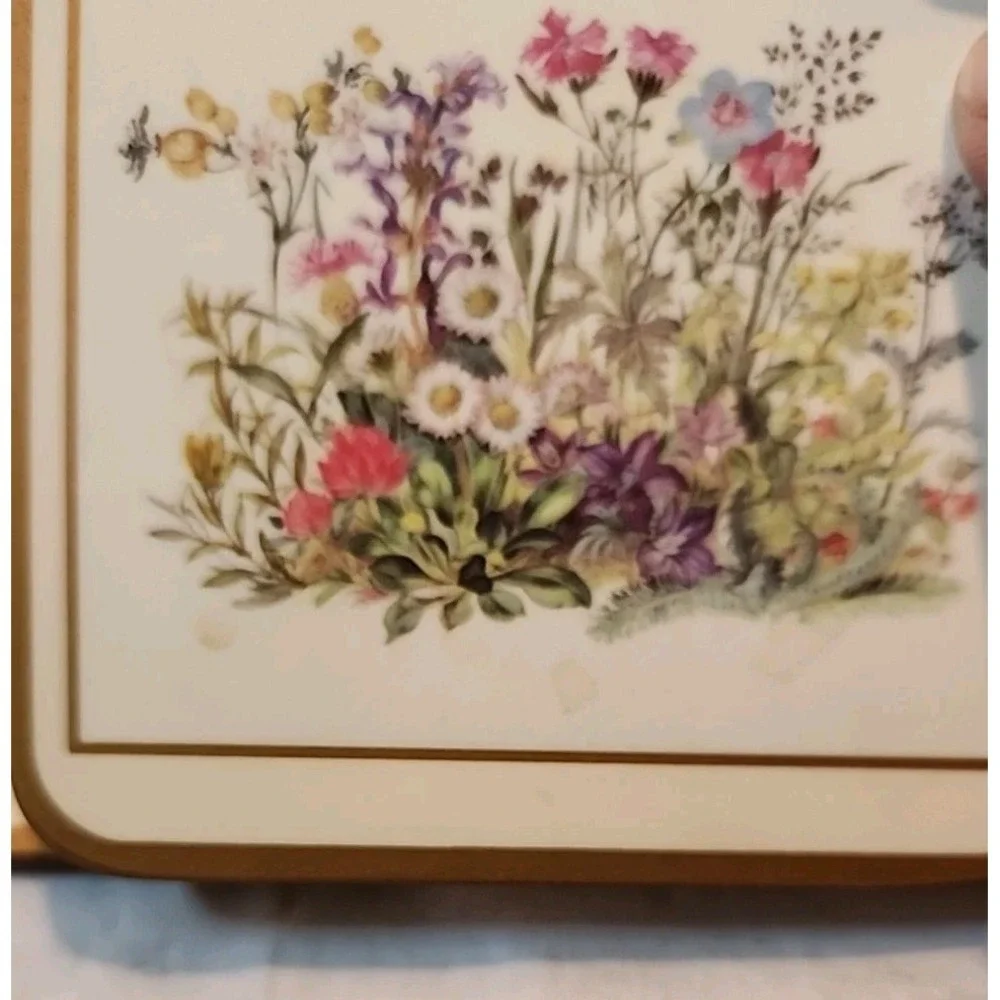 Pimpernel Set of‎ 6 VTG 'Meadow Floral' Design Cork Back Coasters W/Original Box